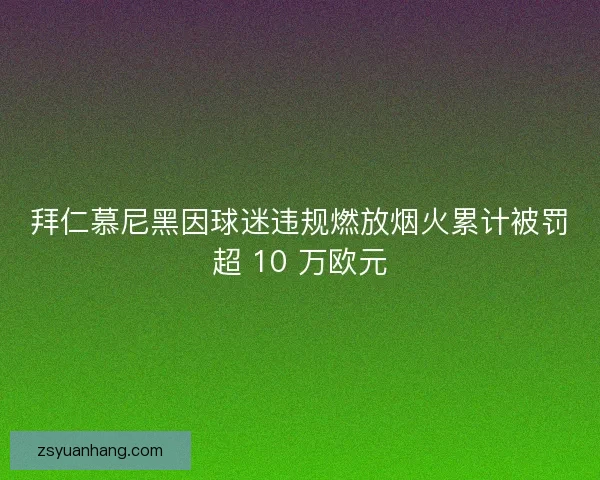 拜仁慕尼黑因球迷违规燃放烟火累计被罚超 10 万欧元