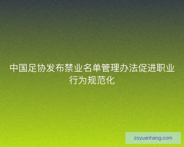 中国足协发布禁业名单管理办法促进职业行为规范化