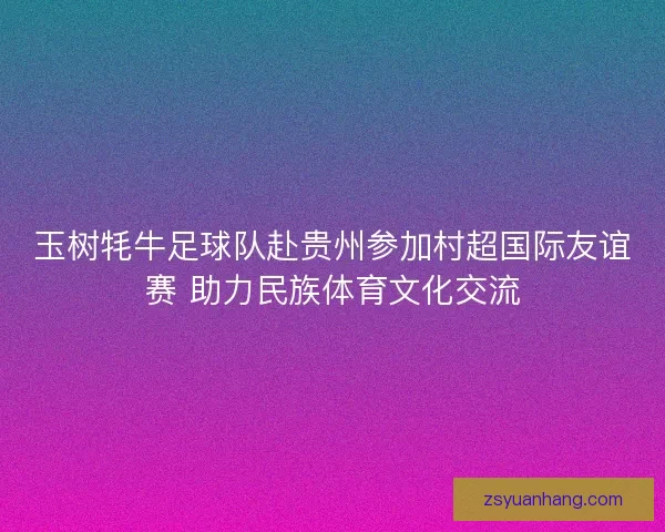 玉树牦牛足球队赴贵州参加村超国际友谊赛 助力民族体育文化交流