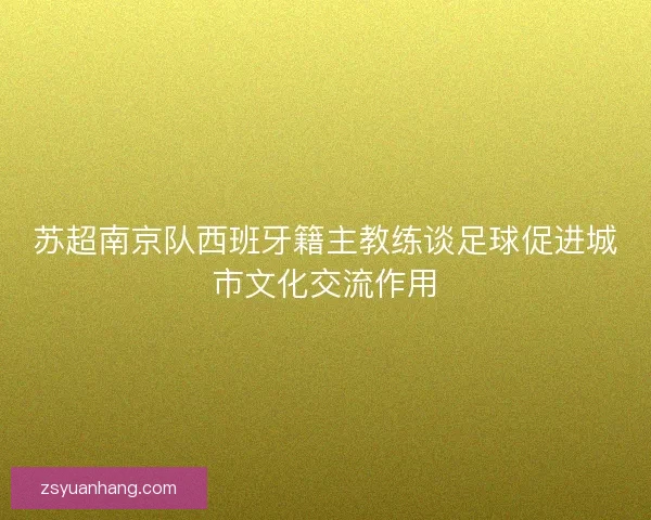 苏超南京队西班牙籍主教练谈足球促进城市文化交流作用