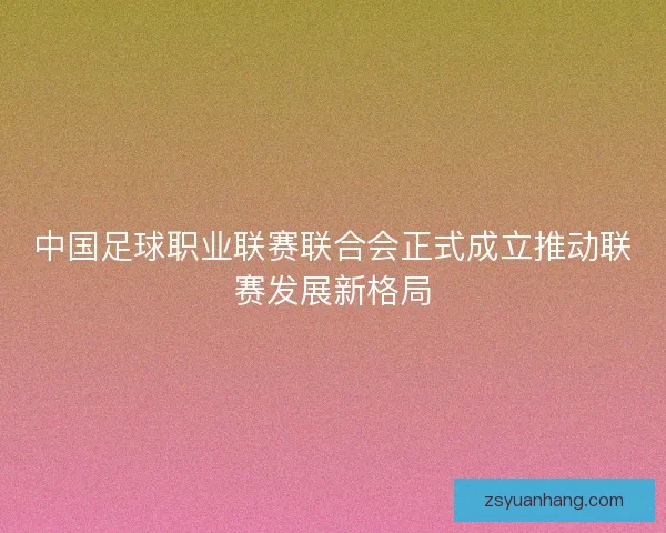 中国足球职业联赛联合会正式成立推动联赛发展新格局